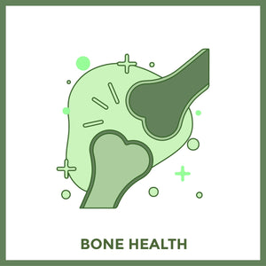 Bone Health